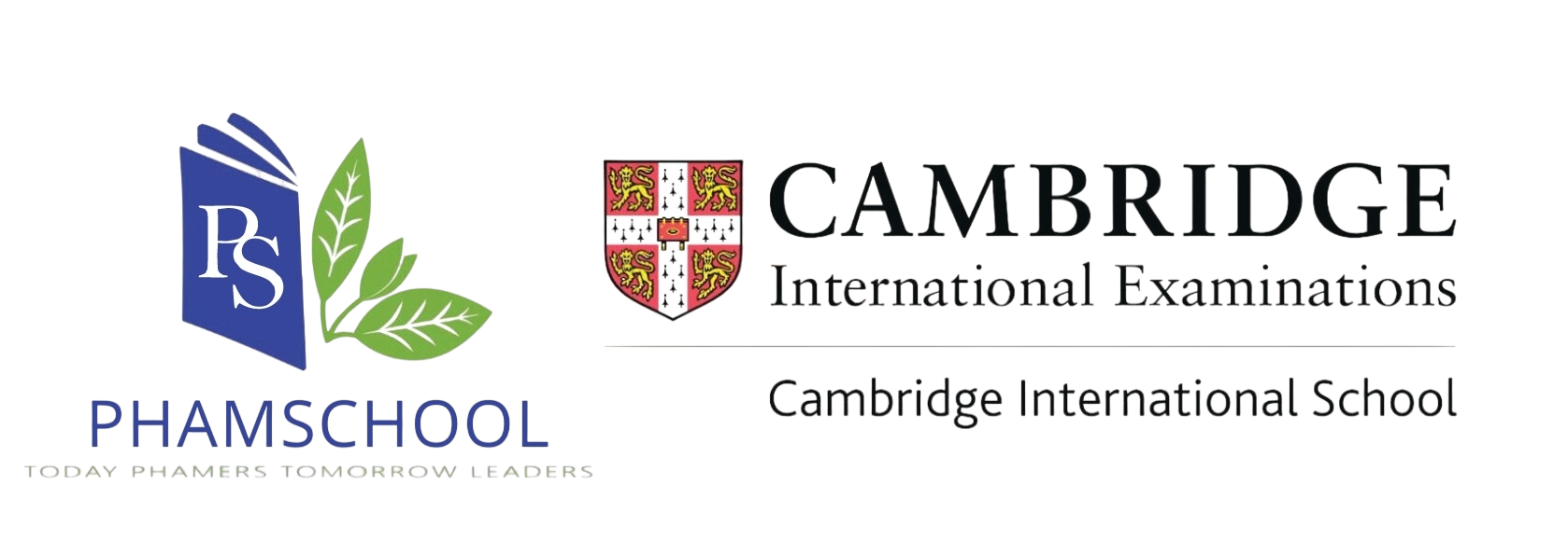 Phamschool Bilingual Preschool